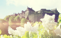郭臺(tái)銘赴美將見(jiàn)特朗普 網(wǎng)友：傳話告訴特朗普民進(jìn)黨有多爛