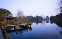 這個國產綜藝，你盤了沒