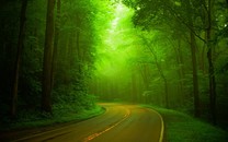 高娓娓：疫情下的紐約華人社區(qū)現(xiàn)在是個什么情況..