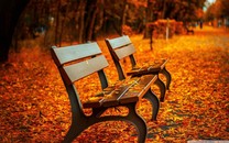 數(shù)字化轉(zhuǎn)型時(shí)代的下一個(gè)弄潮者，會(huì)是你嗎？
