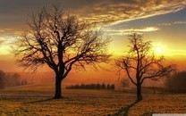 巧克力對身體5大好處！提高記憶、增強免疫，孩子多大可以吃？怎么吃？