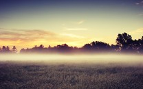 【網(wǎng)易態(tài)度公開課】維意定制歐陽熙：捕捉下一個風口