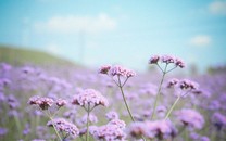 河南遇強降雨 9.8萬人轉移