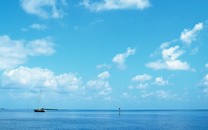大智慧股價暴漲到暴跌，張長虹巔峰到入獄，...