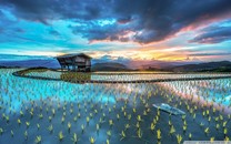 石景山新學期入學新政：二手房家庭實行多校劃片