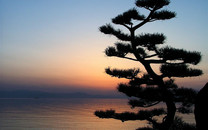 斬獲娜扎的夏日清爽顏