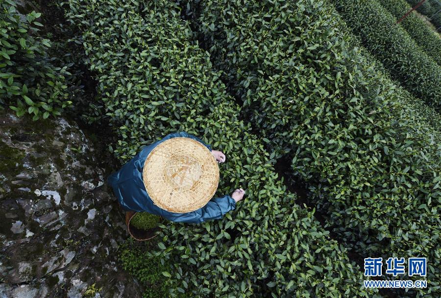 全能炊具讓你秒變廚神