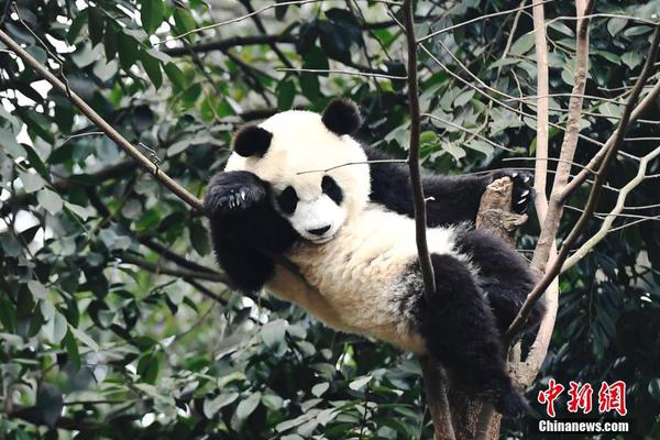 北宋最后一任宰相，讓皇帝為之流涕哭泣的忠義之臣