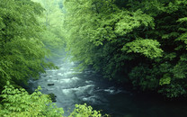 北京：黃花城長城山花爛漫春景如畫
