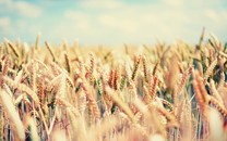 Jeep自由光好開不是吹，3月熱銷最高降6.64萬