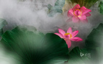 51歲“臺灣第一美女”蕭薔曬照 穿抹胸...