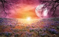 4月份，感情運勢上升的星座，桃花纏身，舊愛歸來，有望重溫舊夢